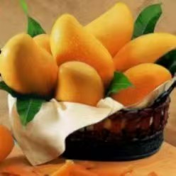 New paper published in Nature Aging